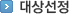 대상선정